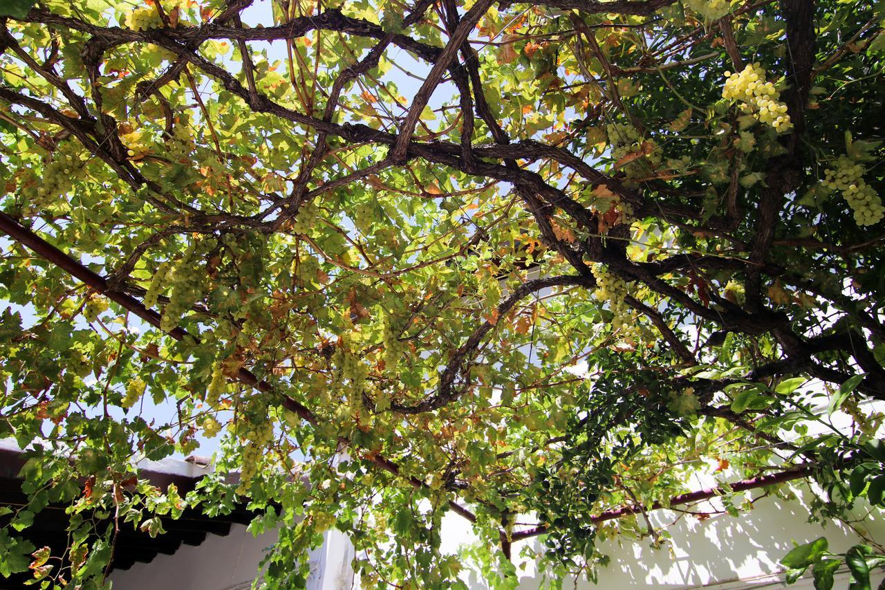 Gul Hanim House Boutique Hotel Nicosia Exterior foto